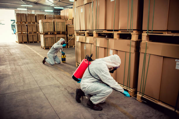 Best Emergency Pest Control  in Ballston Spa, NY