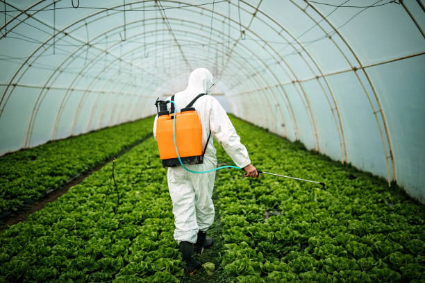 Best Commercial Pest Control Services  in Ballston Spa, NY