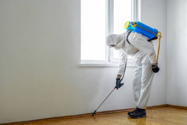 Best Affordable Pest Control Services  in Ballston Spa, NY