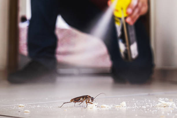 Best Emergency Pest Control  in Ballston Spa, NY