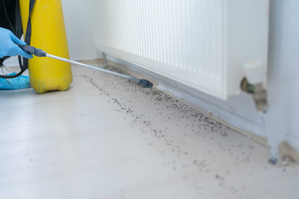 Best Pest Inspection Near Me  in Ballston Spa, NY