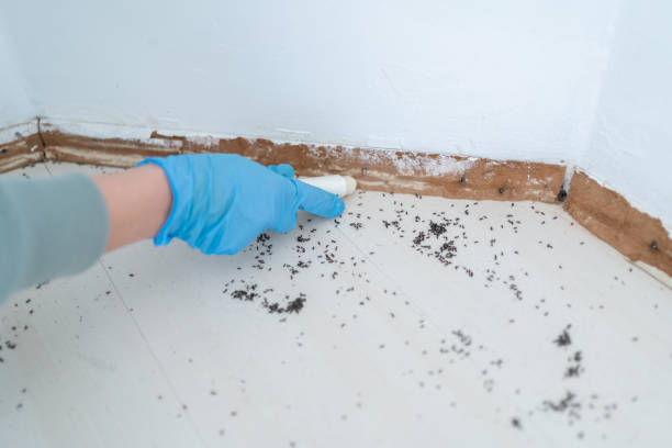 Best Affordable Pest Control Services  in Ballston Spa, NY