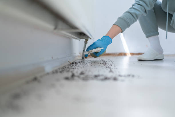 Best Best Pest Control Companies  in Ballston Spa, NY